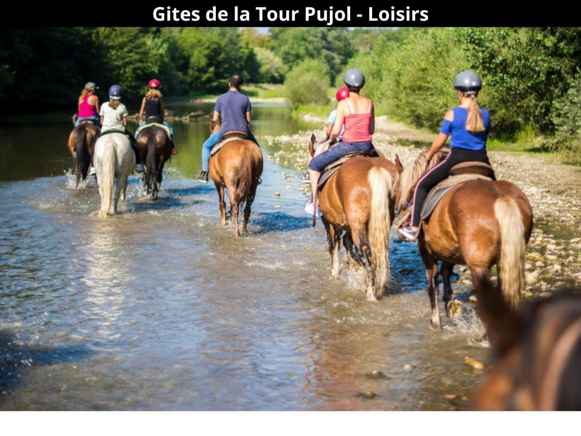 Les Gites De La Tour Pujol Argelès-sur-Mer Zewnętrze zdjęcie